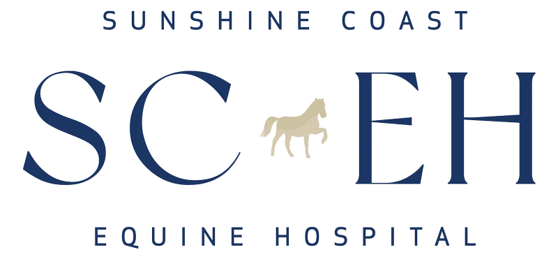 Sunshine Coast Equine Hospital