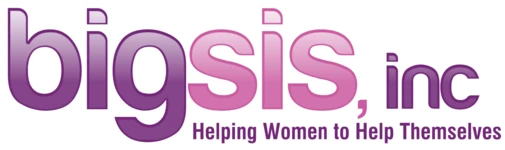 Big Sis Inc