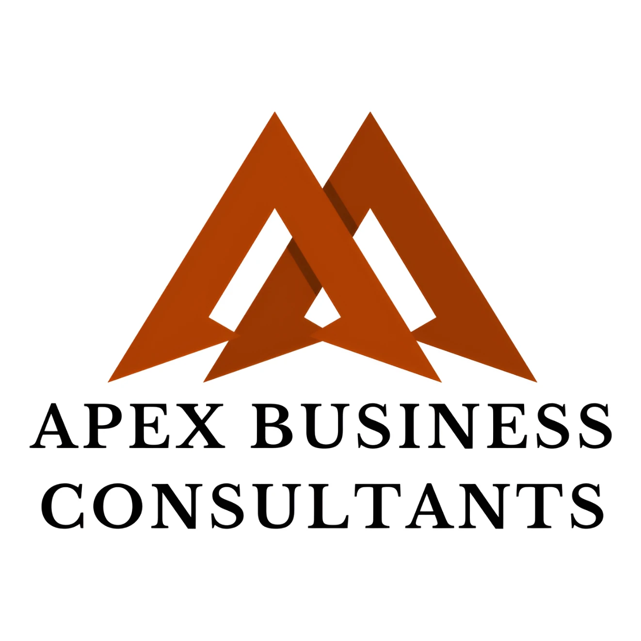 Apex Business Consultants Ltd