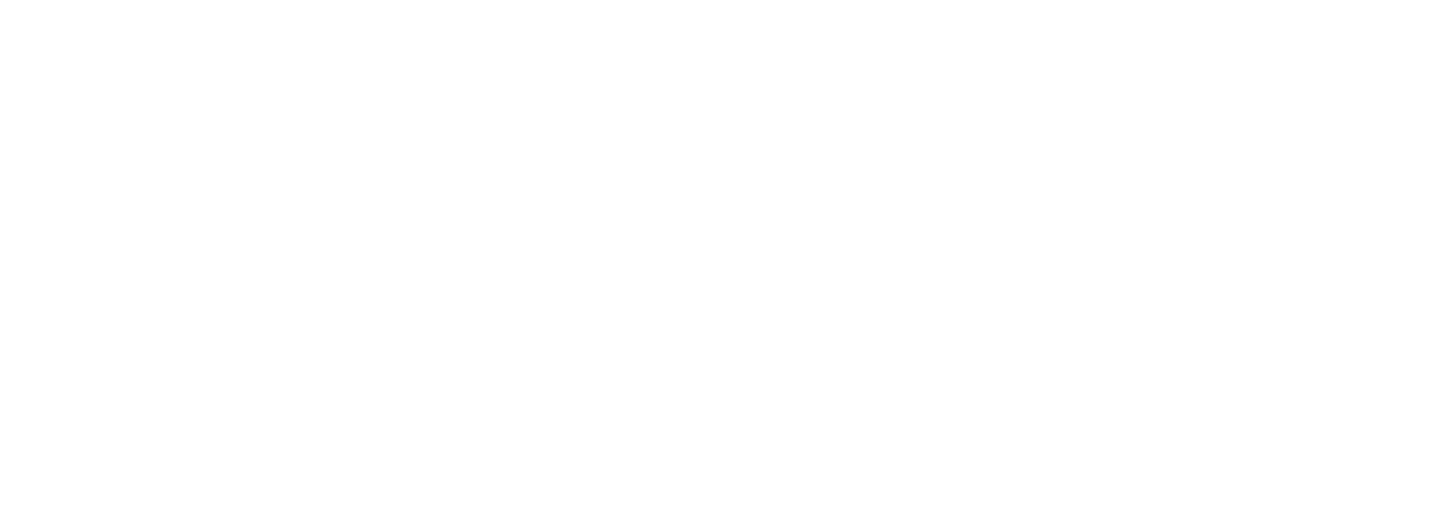 Cumming Management Group
