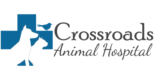 Crossroads Animal Hospital