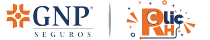 Gnp