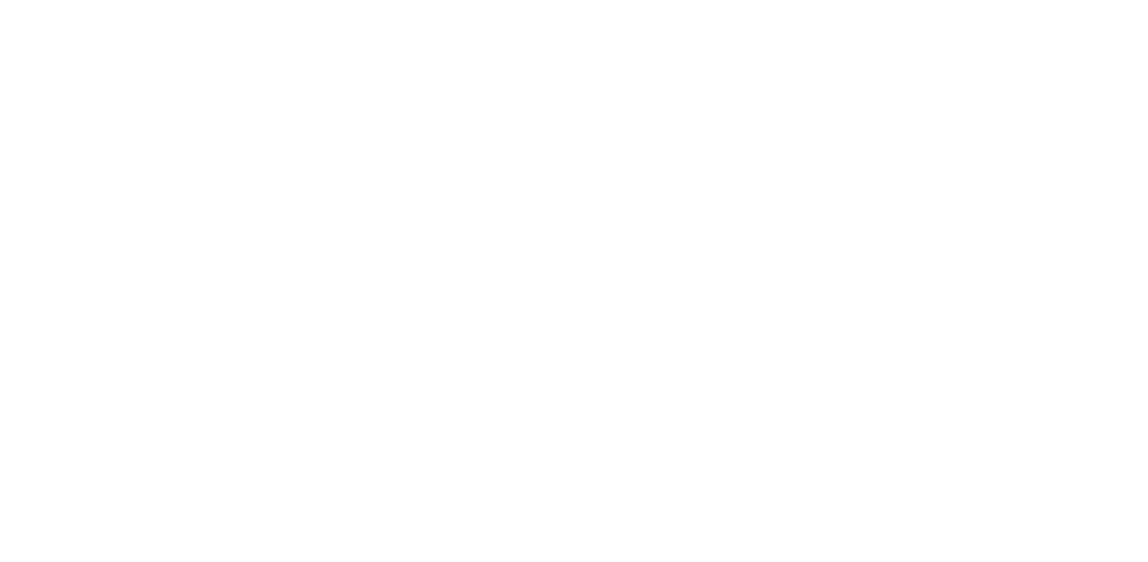 Leap29