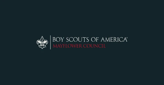Bsa