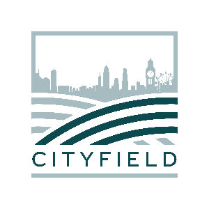 Cityfield Marketing Management Overview