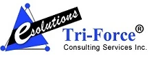 Tri-force Consulting Services, Inc.