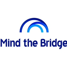 Mind The Bridge