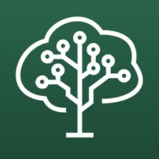 Brainforest
