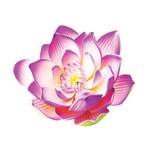 Tara Blooms