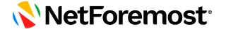 Netforemost, Inc