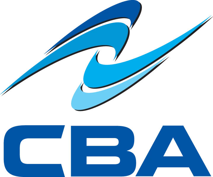 Critical Business Analysis, Inc.