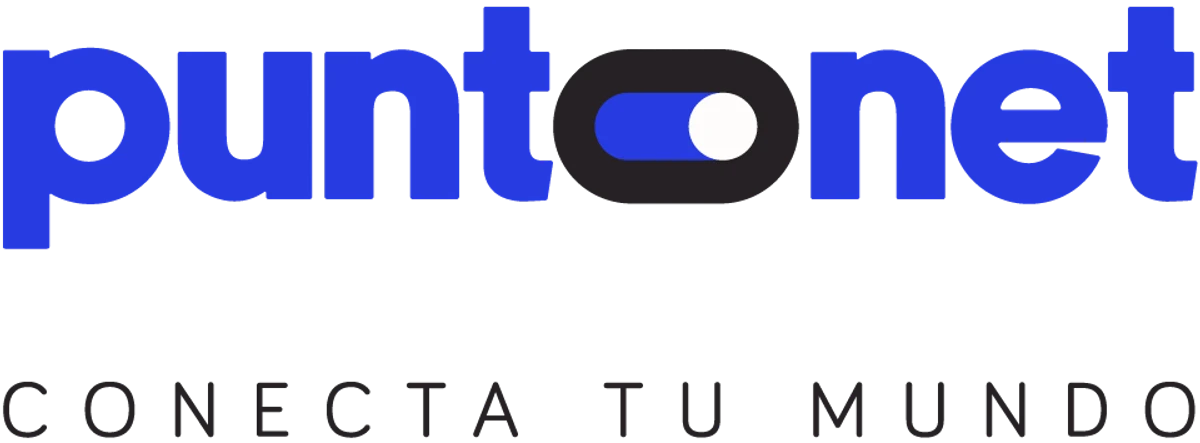 Puntonet S.a.