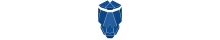 Wise Skulls Llc