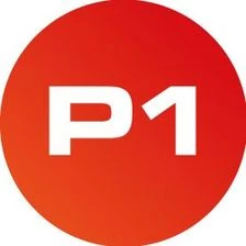 P1 Security