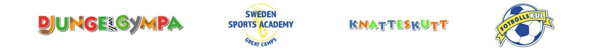 Active Academy