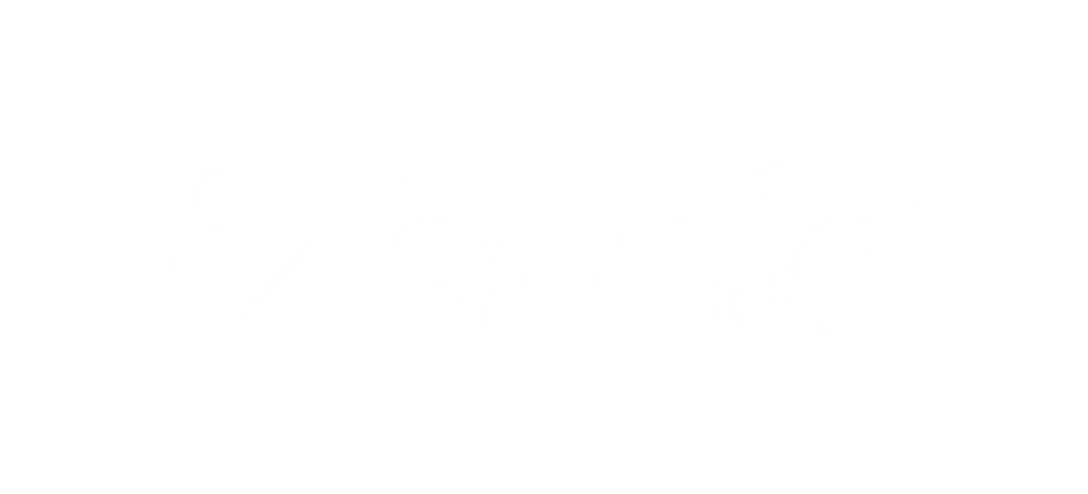 Zennio Avance y Tecnología