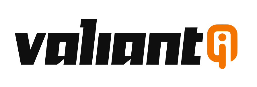 Valiantiq Inc