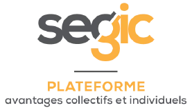 Segic